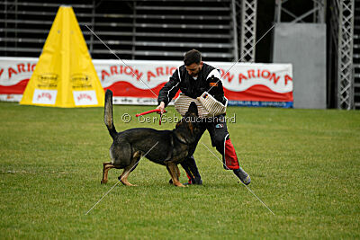 Meiko des Orckis de l`Adret